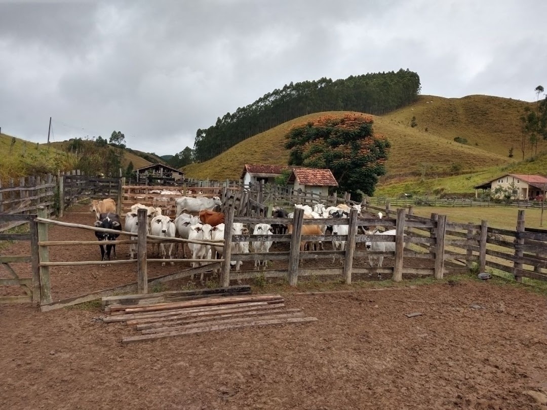 Fazenda-Sítio-Chácara, 46 hectares - Foto 8