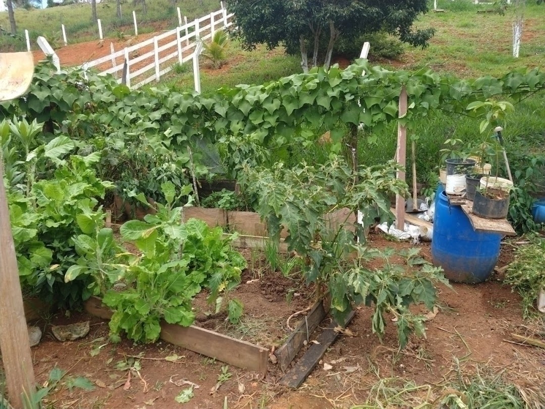 Chácara em São José dos Campos/São Paulo — Ref WKDOO7 — Imagem 6