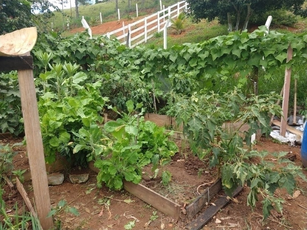 Chácara em São José dos Campos/São Paulo — Ref WKDOO7 — Imagem 10