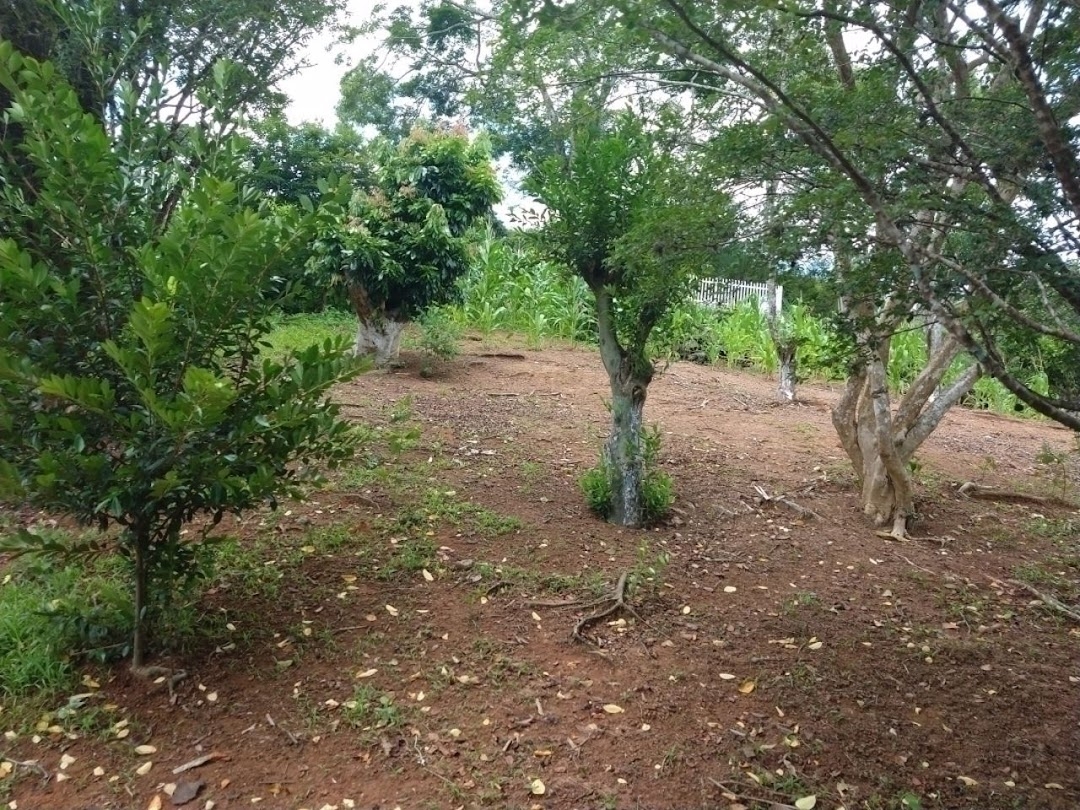 Chácara em São José dos Campos/São Paulo — Ref WKDOO7 — Imagem 21