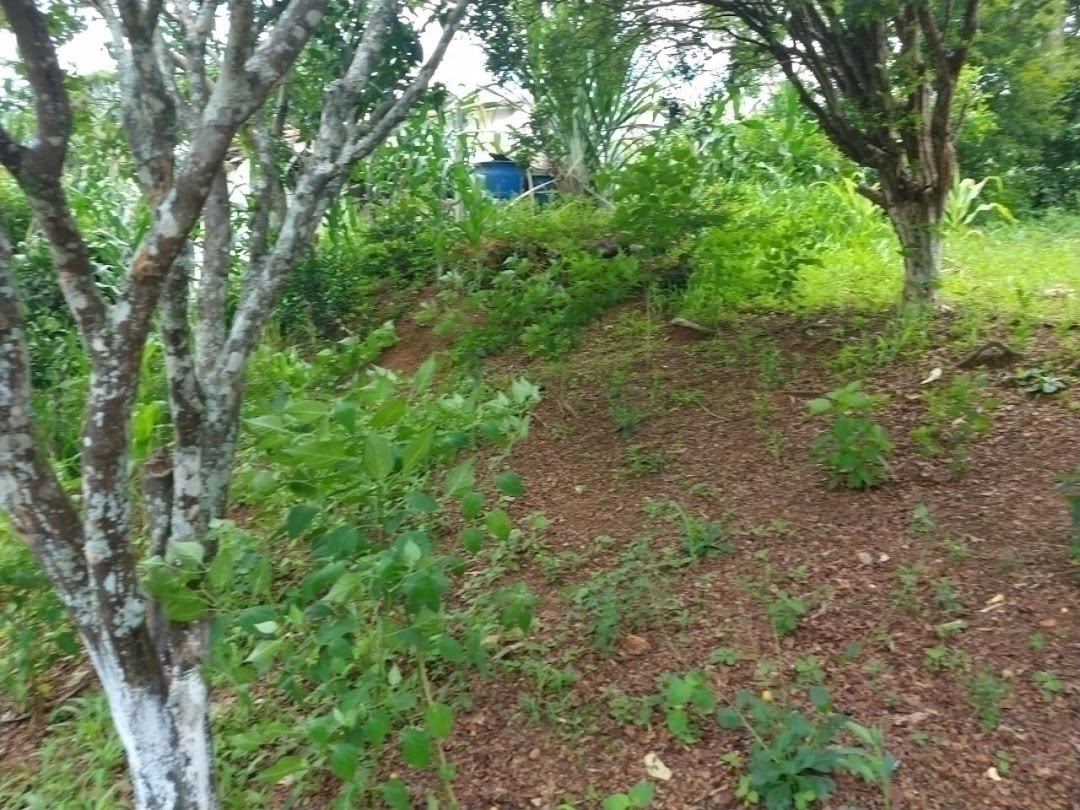 Chácara em São José dos Campos/São Paulo — Ref WKDOO7 — Imagem 23