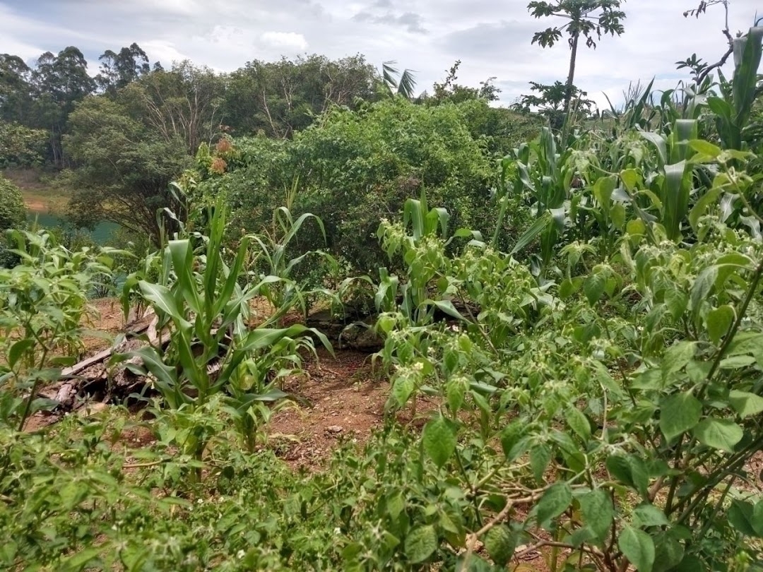 Chácara em São José dos Campos/São Paulo — Ref WKDOO7 — Imagem 15