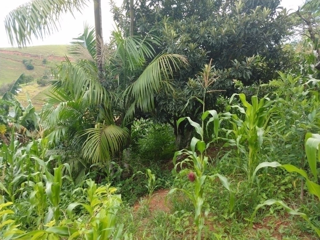 Chácara em São José dos Campos/São Paulo — Ref WKDOO7 — Imagem 24