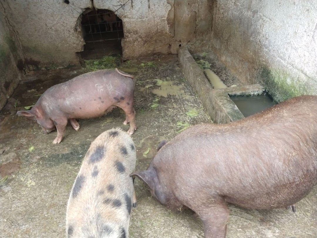 Chácara em São José dos Campos/São Paulo — Ref WKDOO7 — Imagem 35