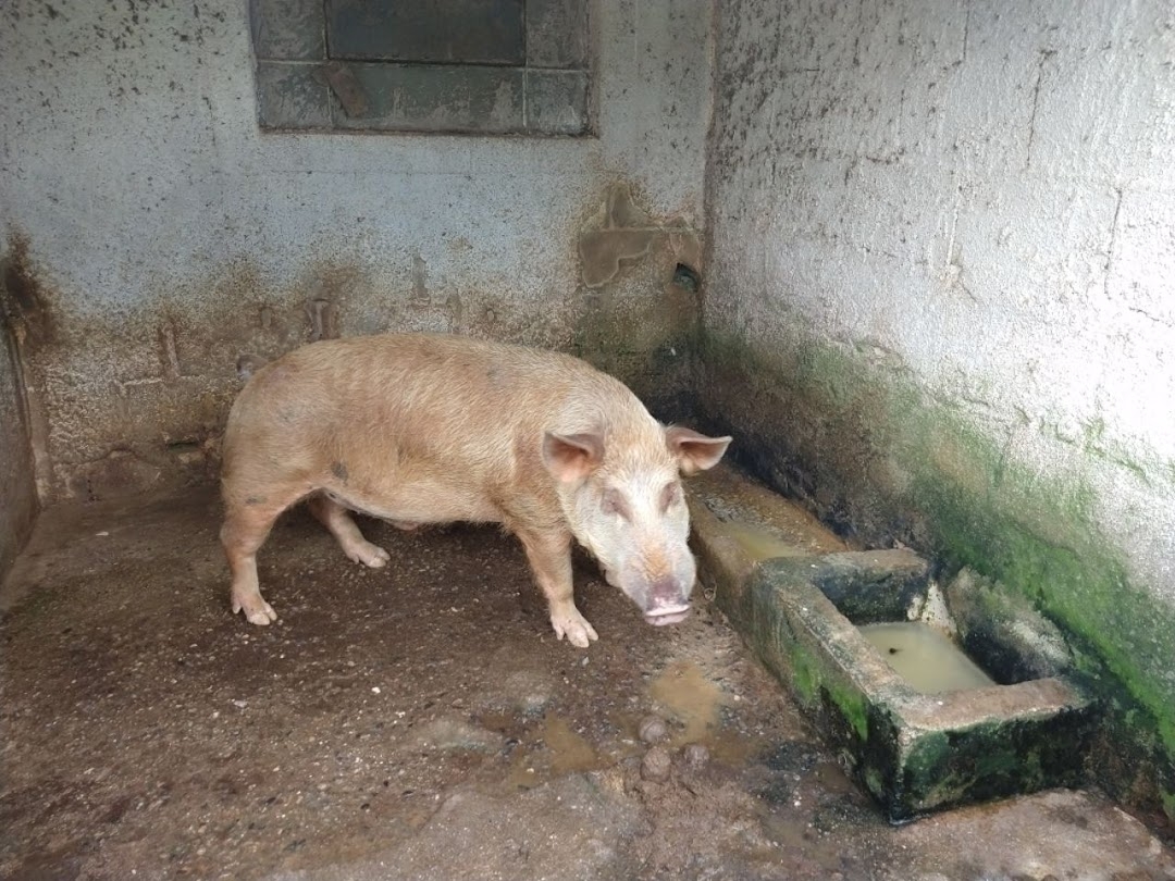 Chácara em São José dos Campos/São Paulo — Ref WKDOO7 — Imagem 36