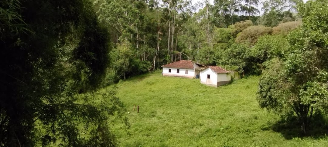 Sítio, 2 quartos, 100 m² - Foto 3