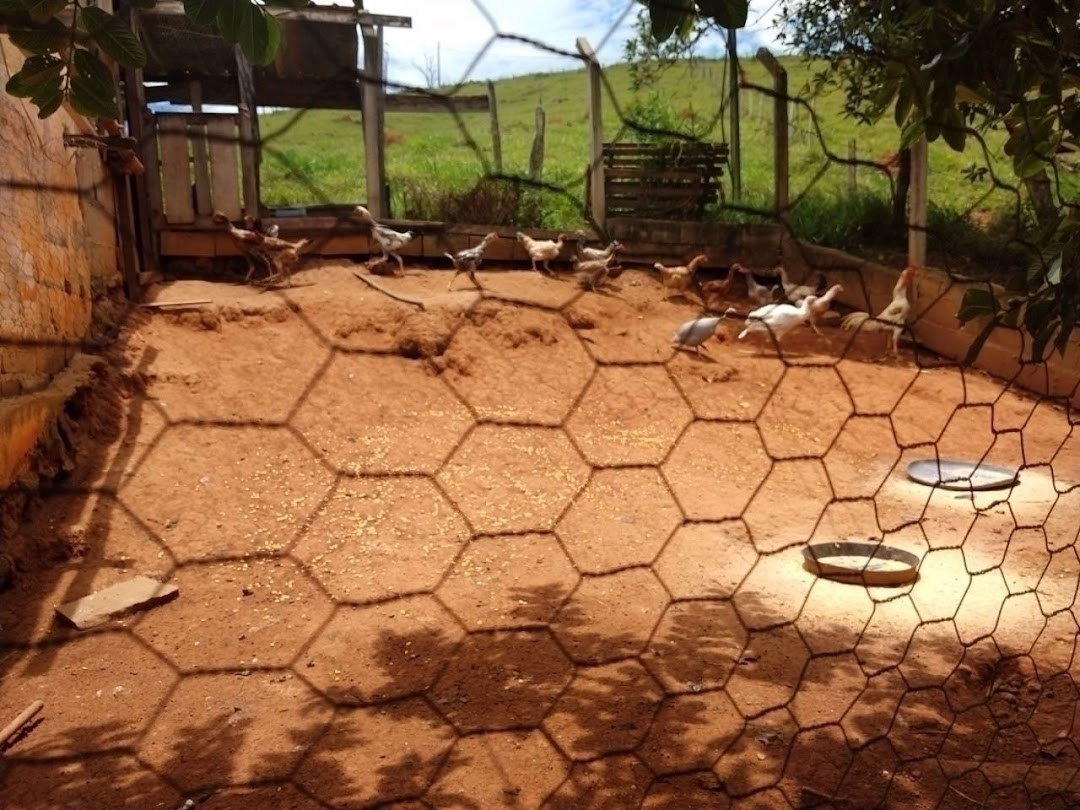 Chácara em São José dos Campos/São Paulo — Ref WKDOO7 — Imagem 67