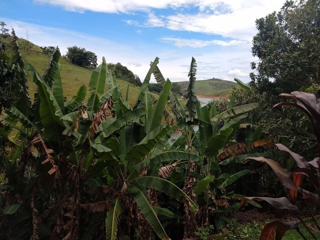 Chácara em São José dos Campos/São Paulo — Ref WKDOO7 — Imagem 61