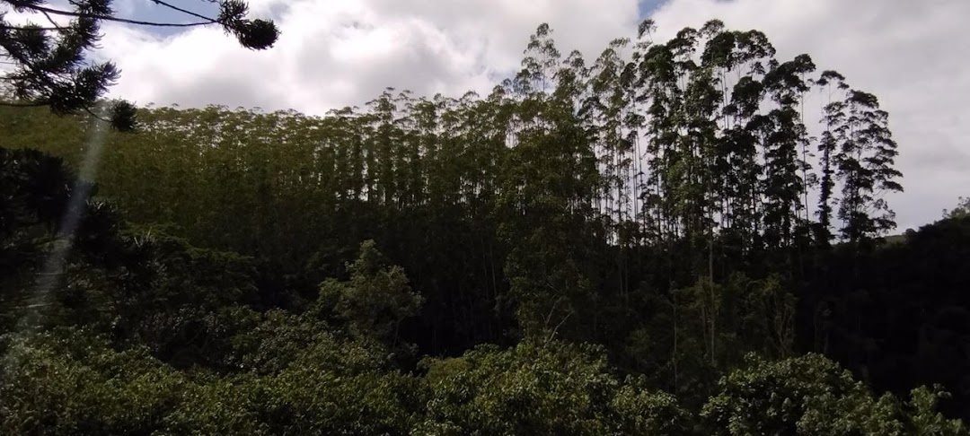 Sítio, 2 quartos, 100 m² - Foto 5