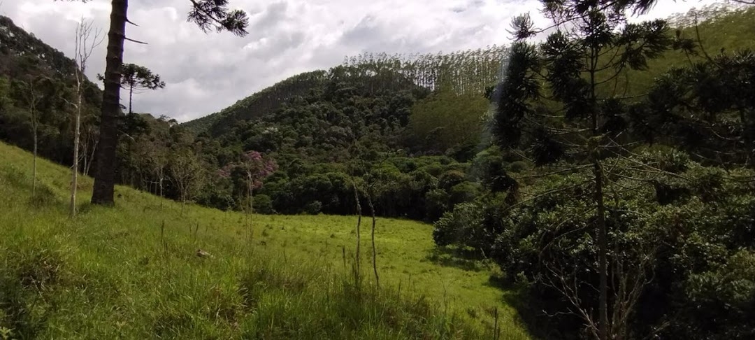 Sítio, 2 quartos, 100 m² - Foto 4