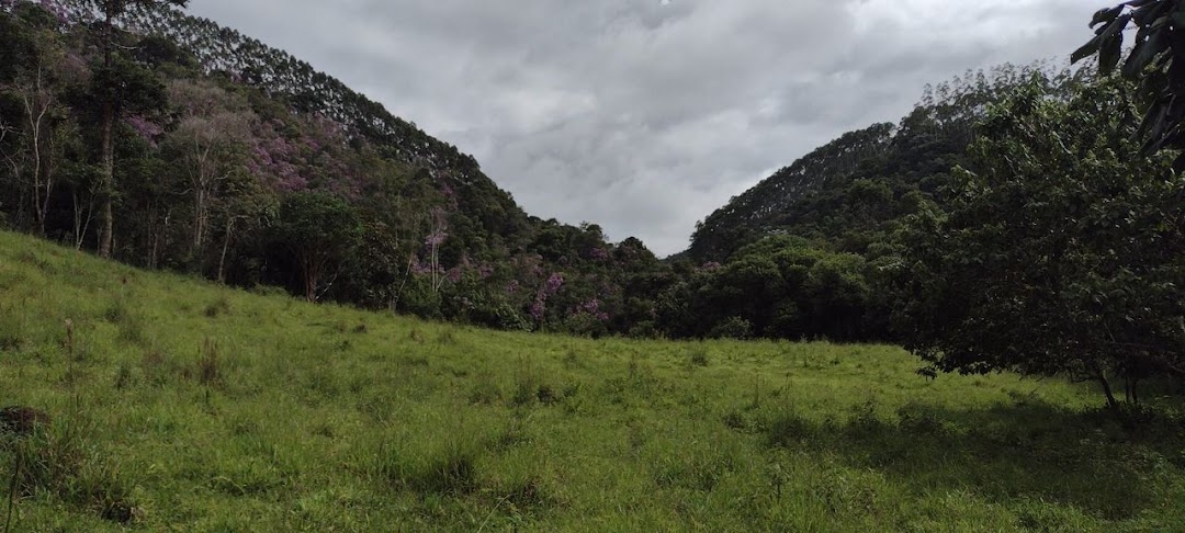 Sítio, 2 quartos, 100 m² - Foto 13