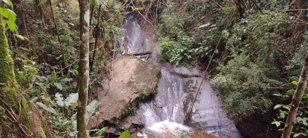 Sítio, 2 quartos, 100 m² - Foto 11