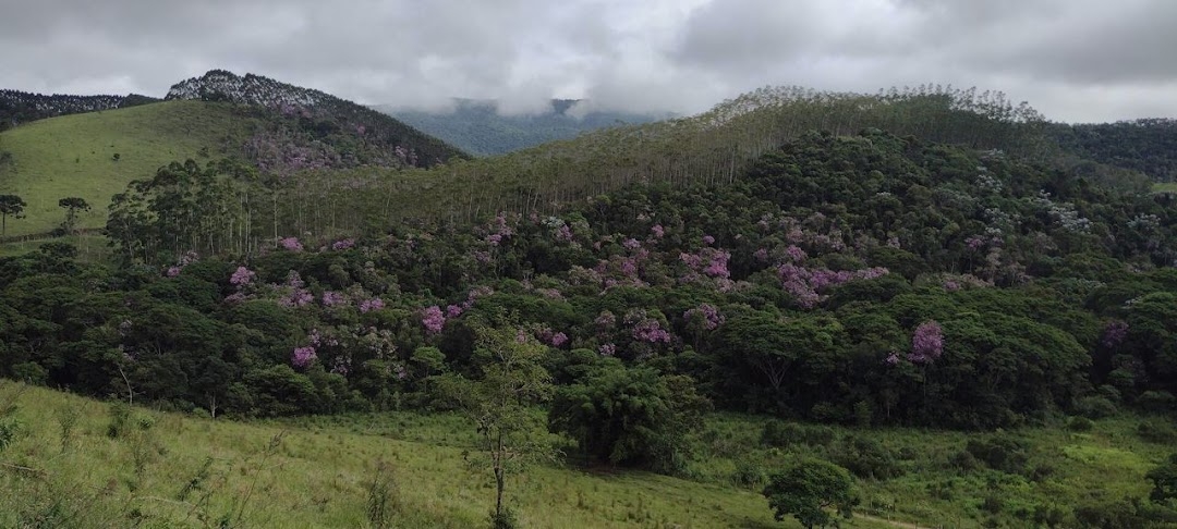 Sítio, 2 quartos, 100 m² - Foto 22