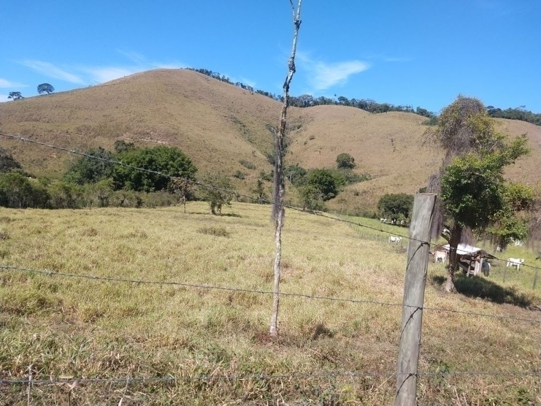 Fazenda em São Luíz do Paraitinga/São Paulo — Ref 8AK5GY — Imagem 11