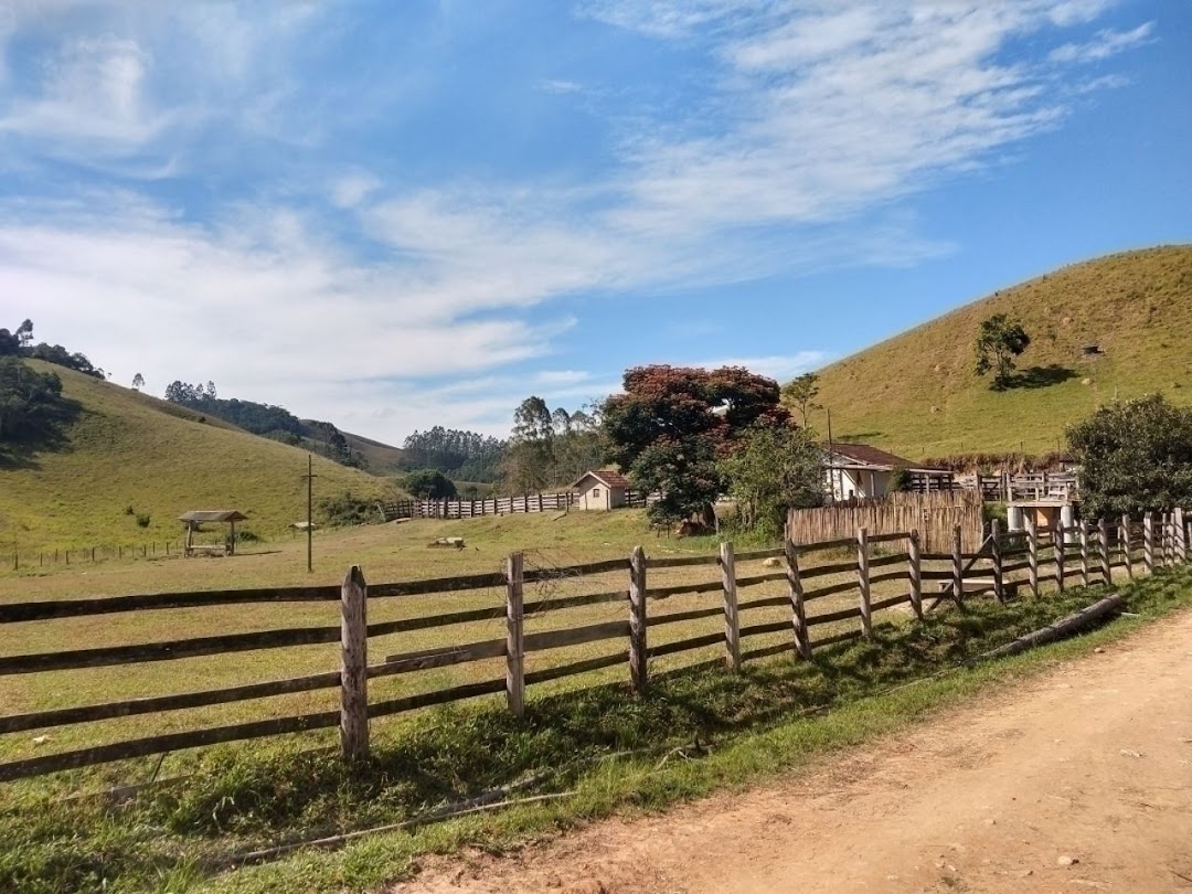 Fazenda, 46 hectares - Foto 2