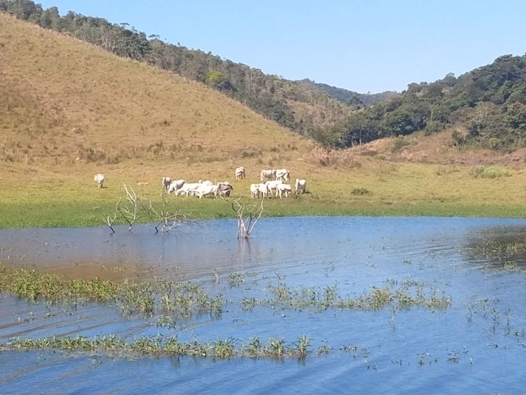 Fazenda, 46 hectares - Foto 5