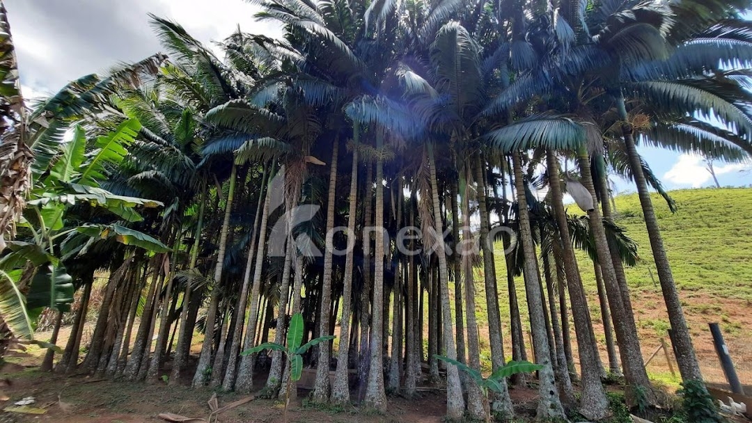 Sítio em Paraibuna/São Paulo — Ref LEXA1C — Imagem 14