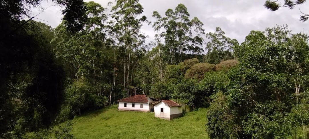 Sítio, 2 quartos, 100 m² - Foto 2