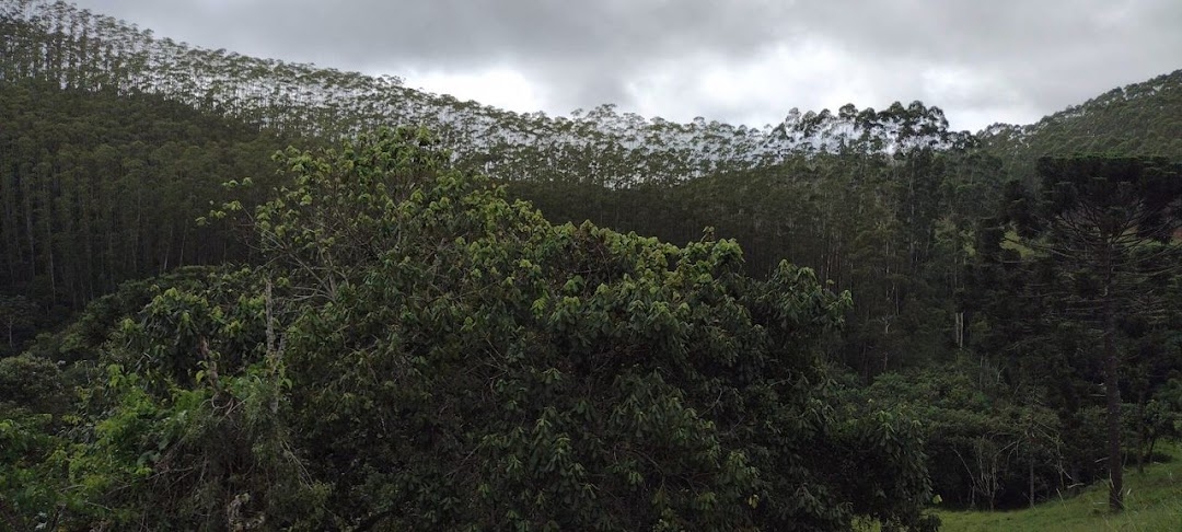 Sítio, 2 quartos, 100 m² - Foto 21