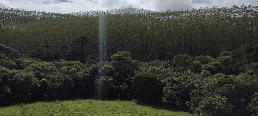 Sítio, 2 quartos, 100 m² - Foto 9