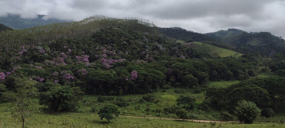 Sítio, 2 quartos, 100 m² - Foto 19