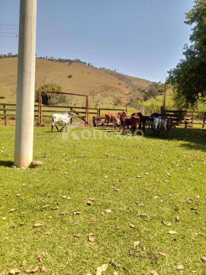 Fazenda-Sítio-Chácara, 400 m² - Foto 11