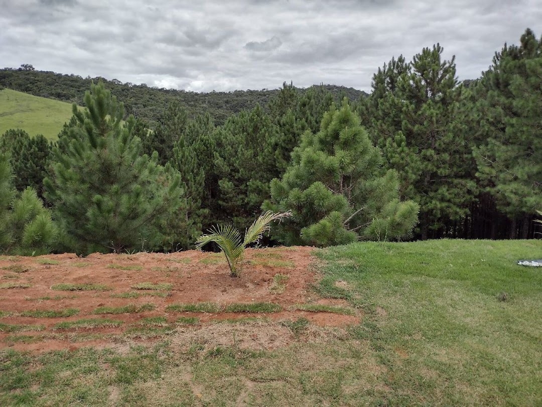 Sítio, 3 quartos, 8 hectares - Foto 6