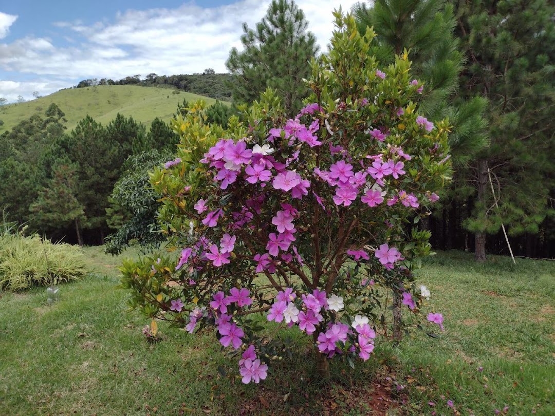 Sítio, 3 quartos, 8 hectares - Foto 4