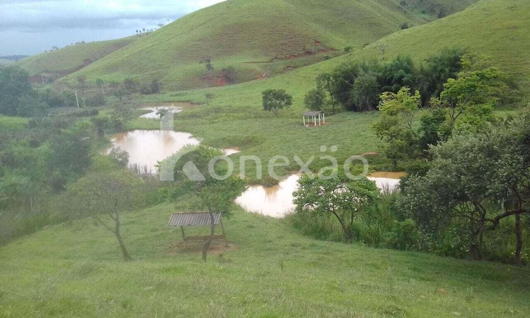 Fazenda-Sítio-Chácara, 400 m² - Foto 8