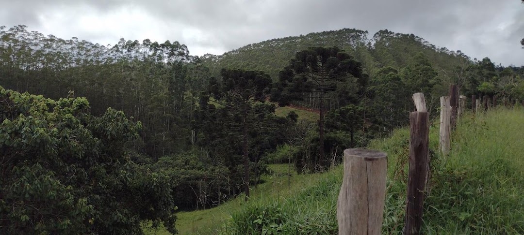 Sítio, 2 quartos, 100 m² - Foto 20