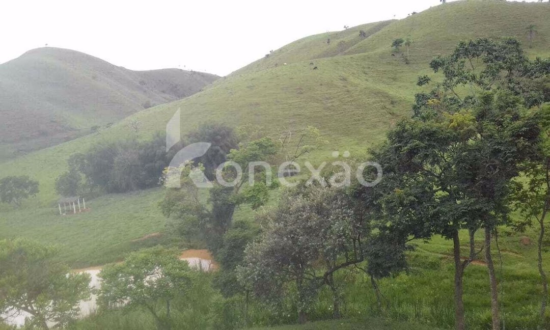 Fazenda-Sítio-Chácara, 400 m² - Foto 9