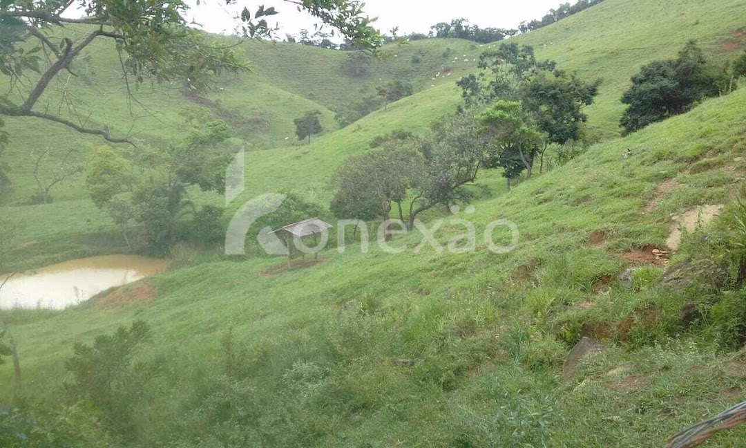 Fazenda-Sítio-Chácara, 400 m² - Foto 10