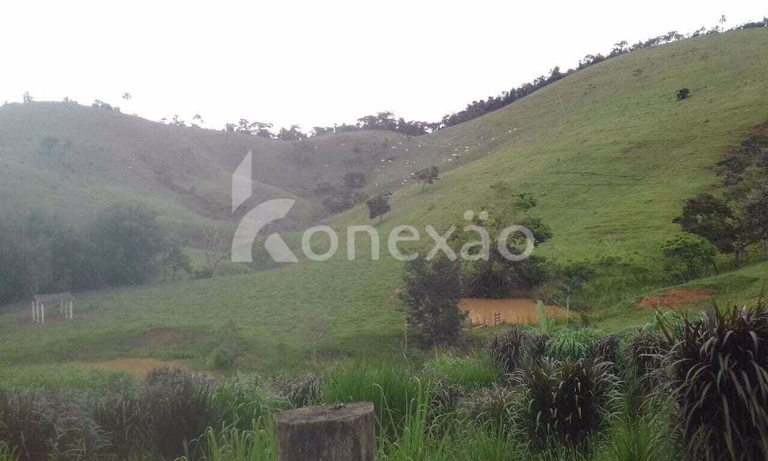 Fazenda-Sítio-Chácara, 400 m² - Foto 5