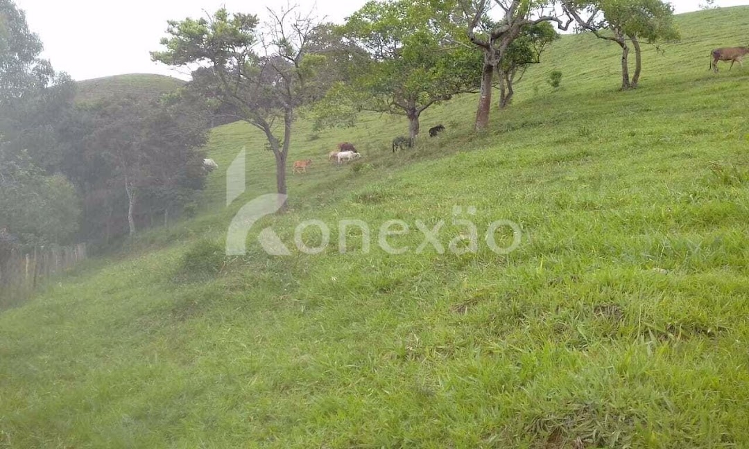 Fazenda-Sítio-Chácara, 400 m² - Foto 7