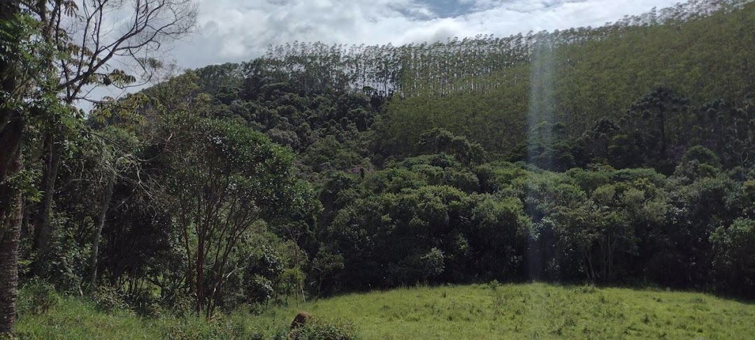 Sítio, 2 quartos, 100 m² - Foto 8