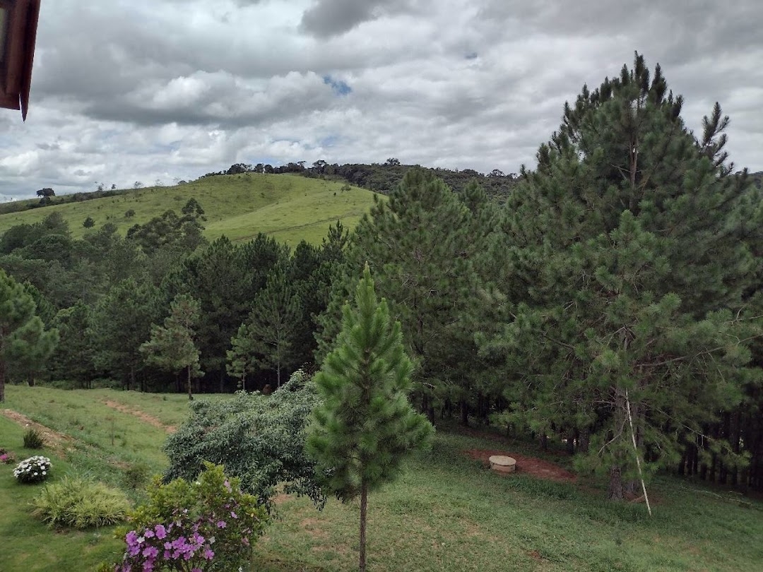 Sítio, 3 quartos, 8 hectares - Foto 12