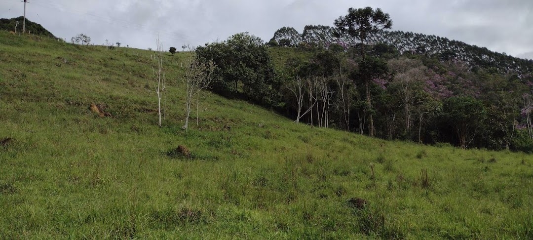 Sítio, 2 quartos, 100 m² - Foto 14