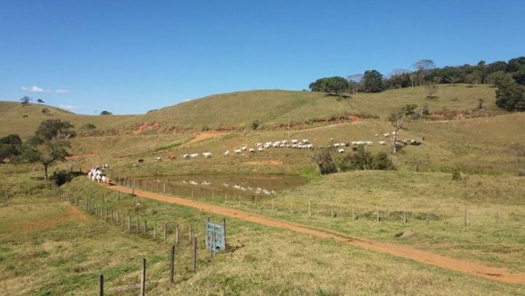 Fazenda em Lagoinha/São Paulo — Ref 1UVQZG — Imagem 7
