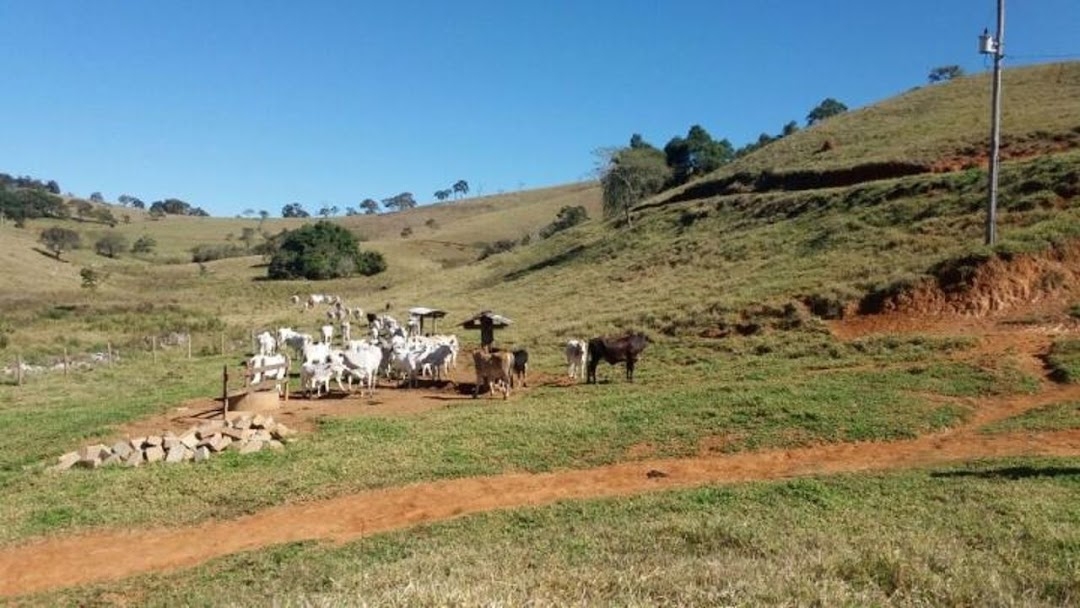 Fazenda em Lagoinha/São Paulo — Ref 1UVQZG — Imagem 6