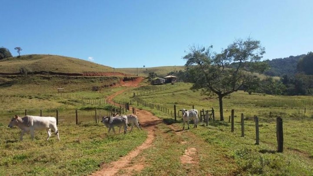 Fazenda em Lagoinha/São Paulo — Ref 1UVQZG — Imagem 8