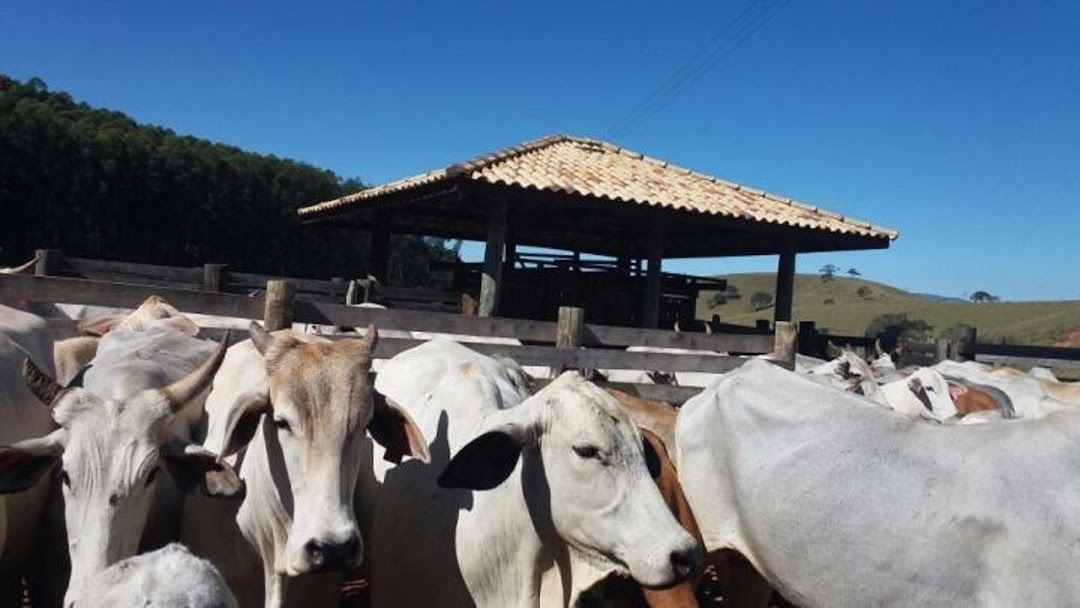 Fazenda em Lagoinha/São Paulo — Ref 1UVQZG — Imagem 14