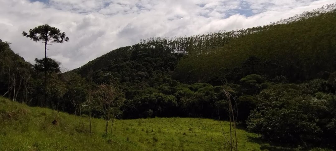 Sítio, 2 quartos, 100 m² - Foto 6