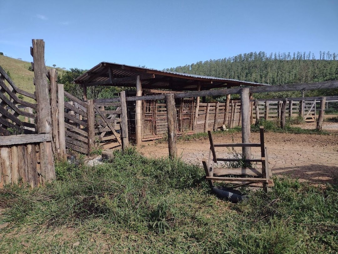 Fazenda, 225 hectares - Foto 3