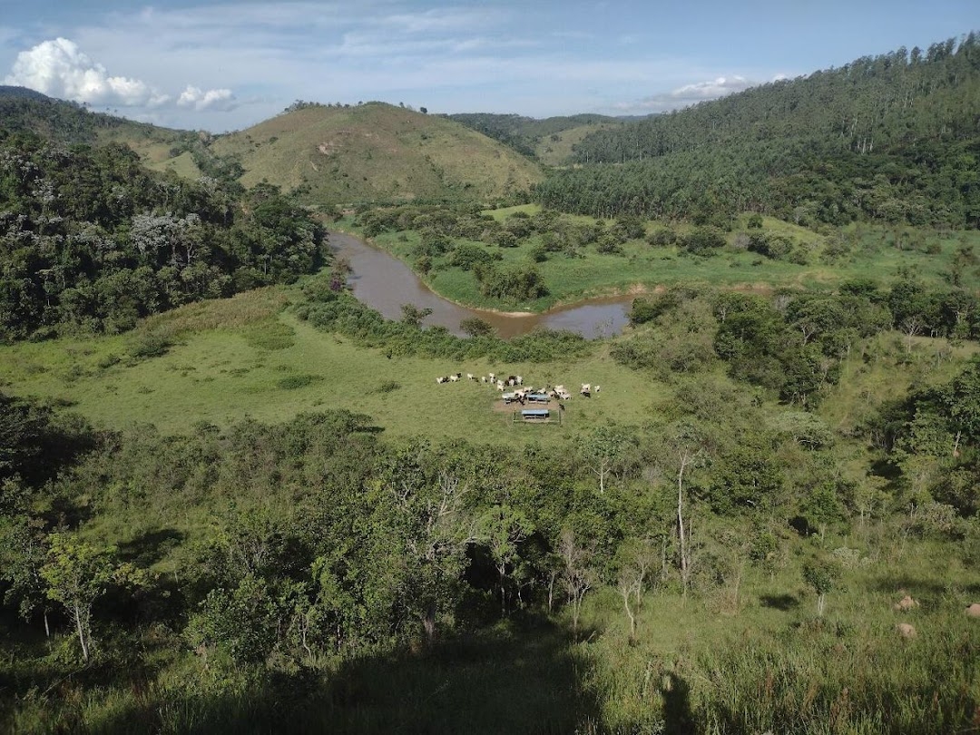 Fazenda, 225 hectares - Foto 2