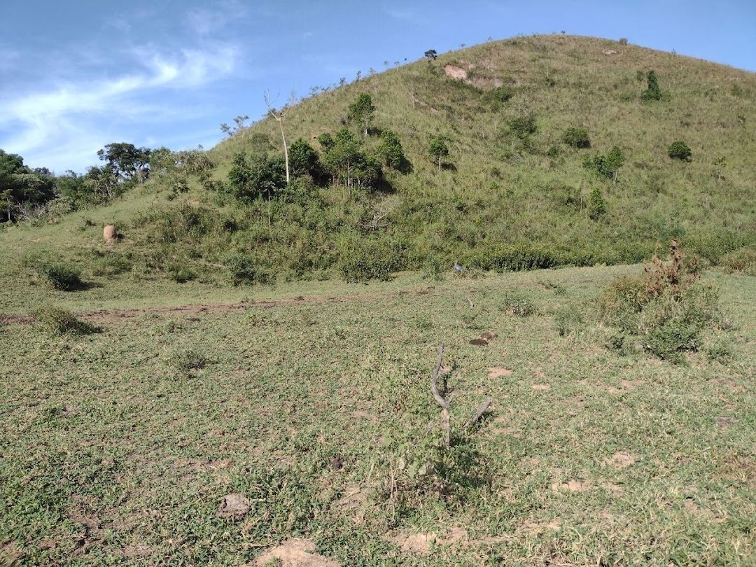 Fazenda, 225 hectares - Foto 23