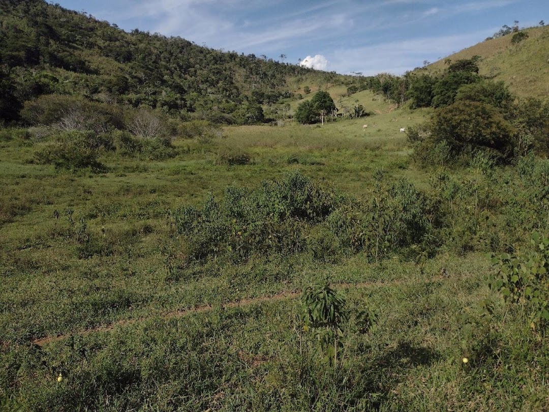 Fazenda, 225 hectares - Foto 9