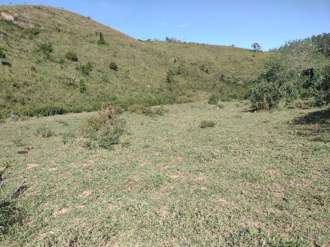 Fazenda, 225 hectares - Foto 7