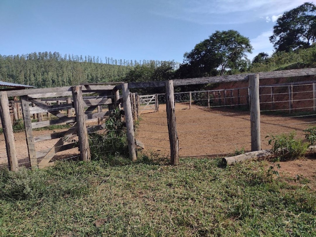 Fazenda, 225 hectares - Foto 19