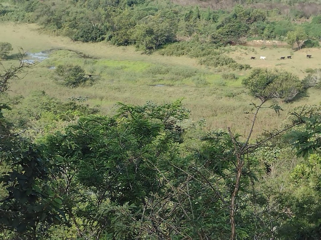 Fazenda, 225 hectares - Foto 14