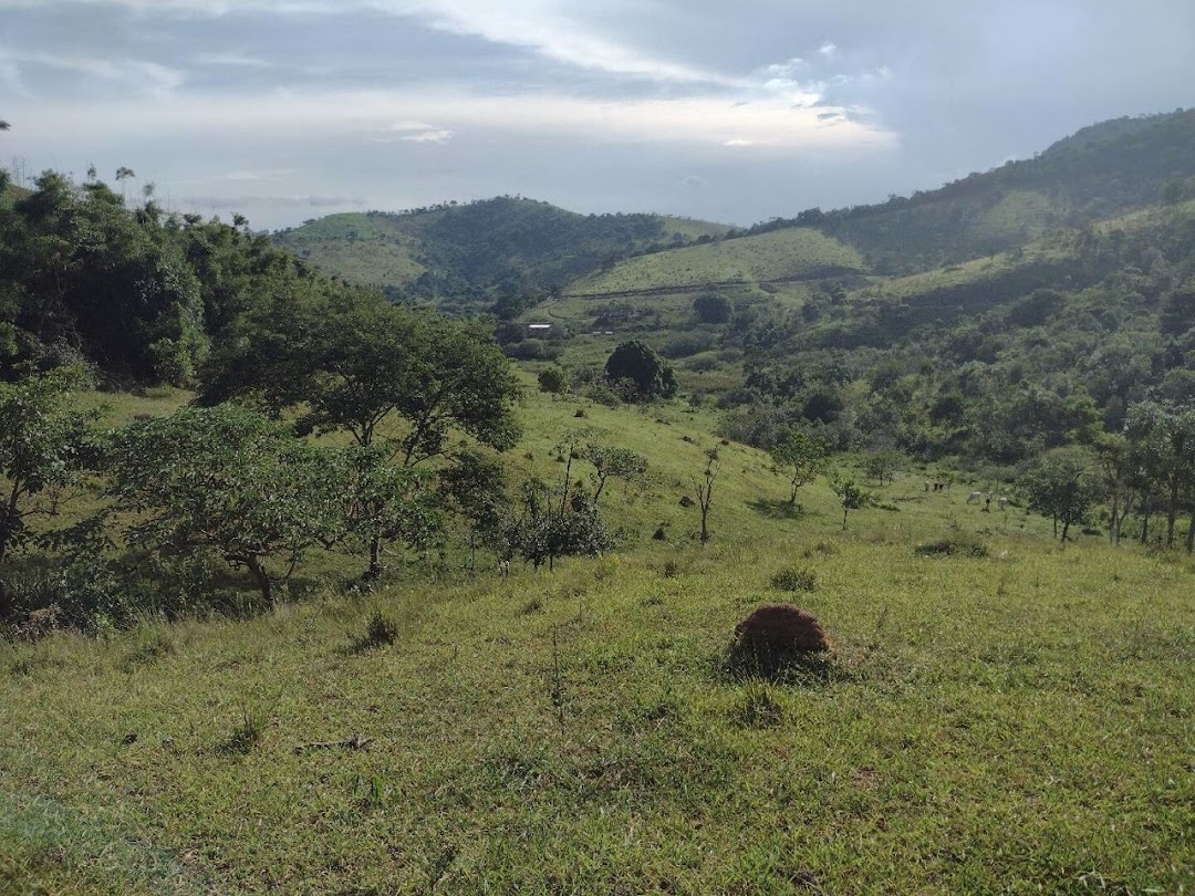 Fazenda, 225 hectares - Foto 15